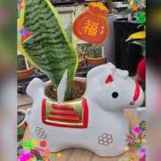 ヒメ日記 2026/02/15 18:48 投稿 木嶋りさ ミセス・レヴォアール～再会～