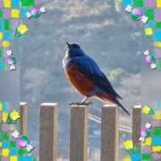 ヒメ日記 2026/02/28 10:52 投稿 木嶋りさ ミセス・レヴォアール～再会～