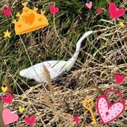 ヒメ日記 2026/03/13 17:00 投稿 木嶋りさ ミセス・レヴォアール～再会～