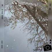 ヒメ日記 2026/04/03 08:00 投稿 木嶋りさ ミセス・レヴォアール～再会～