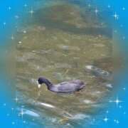 ヒメ日記 2026/04/06 17:30 投稿 木嶋りさ ミセス・レヴォアール～再会～