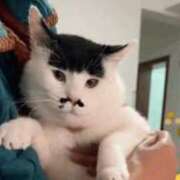 ヒメ日記 2026/01/26 23:41 投稿 大城 熟女の部屋