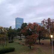 ヒメ日記 2024/12/15 13:55 投稿 あずさ ギン妻パラダイス 和歌山店