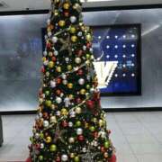 ヒメ日記 2024/12/22 20:45 投稿 あずさ ギン妻パラダイス 和歌山店