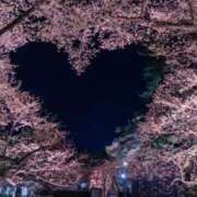 ヒメ日記 2025/03/09 18:06 投稿 あずさ ギン妻パラダイス 和歌山店