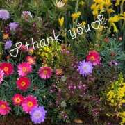 ヒメ日記 2025/04/01 15:03 投稿 あずさ ギン妻パラダイス 和歌山店