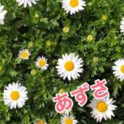 ヒメ日記 2025/04/02 09:02 投稿 あずさ ギン妻パラダイス 和歌山店