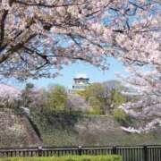 ヒメ日記 2025/04/04 08:28 投稿 あずさ ギン妻パラダイス 和歌山店