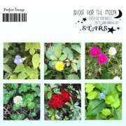 ヒメ日記 2025/10/13 20:15 投稿 あずさ ギン妻パラダイス 和歌山店