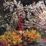 ヒメ日記 2025/10/19 19:29 投稿 あずさ ギン妻パラダイス 和歌山店