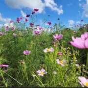 ヒメ日記 2025/10/26 21:37 投稿 あずさ ギン妻パラダイス 和歌山店