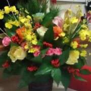 ヒメ日記 2025/11/12 07:08 投稿 あずさ ギン妻パラダイス 和歌山店