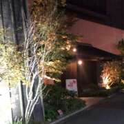 ヒメ日記 2025/11/20 21:01 投稿 あずさ ギン妻パラダイス 和歌山店