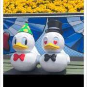 ヒメ日記 2025/11/21 19:50 投稿 あずさ ギン妻パラダイス 和歌山店