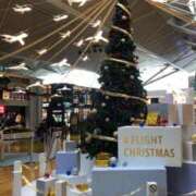 ヒメ日記 2025/11/28 08:29 投稿 あずさ ギン妻パラダイス 和歌山店