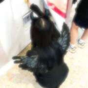 ヒメ日記 2025/02/23 12:51 投稿 のあ しろうと娘in新宿