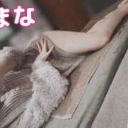 ヒメ日記 2025/03/20 01:35 投稿 京極 まな プルプルハウス