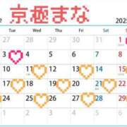 ヒメ日記 2025/06/17 12:08 投稿 京極 まな プルプルハウス