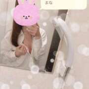 ヒメ日記 2025/07/09 10:53 投稿 京極 まな プルプルハウス