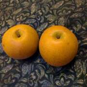 ヒメ日記 2025/10/11 10:23 投稿 まこと みるくDX