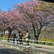 ヒメ日記 2025/02/27 09:33 投稿 みき もしも素敵な妻が指輪をはずしたら・・・カーラ