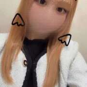 ヒメ日記 2024/12/19 10:14 投稿 うゆ 電車でGOAL！