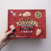 ヒメ日記 2025/08/19 14:04 投稿 うゆ 電車でGOAL！