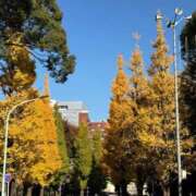 ヒメ日記 2024/12/13 15:40 投稿 あやめ 奥様鉄道69 東京店