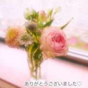 ヒメ日記 2025/05/11 06:57 投稿 角川みづき 五十路マダム 博多店