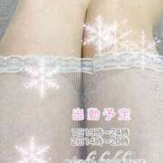 ヒメ日記 2025/06/01 08:27 投稿 角川みづき 五十路マダム 博多店