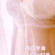 ヒメ日記 2025/08/17 13:37 投稿 角川みづき 五十路マダム 博多店