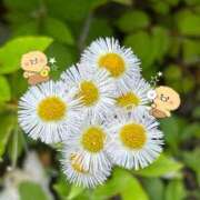 ヒメ日記 2025/05/26 20:37 投稿 美玲 マリン千姫