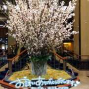 ヒメ日記 2025/03/26 12:05 投稿 えり 松本人妻隊