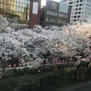 ヒメ日記 2025/04/02 10:08 投稿 えり 松本人妻隊