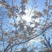 ヒメ日記 2025/04/06 09:56 投稿 ふうか Happy Gang(ハッピーギャング)