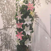 ヒメ日記 2025/06/18 09:46 投稿 ふうか Happy Gang(ハッピーギャング)