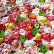 ヒメ日記 2025/09/02 09:44 投稿 ふうか Happy Gang(ハッピーギャング)