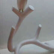 ヒメ日記 2025/11/20 09:51 投稿 ふうか Happy Gang(ハッピーギャング)