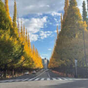 ヒメ日記 2025/11/23 09:46 投稿 ふうか Happy Gang(ハッピーギャング)