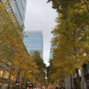 ヒメ日記 2025/11/24 09:49 投稿 ふうか Happy Gang(ハッピーギャング)