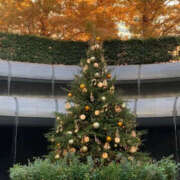 ヒメ日記 2025/12/06 09:48 投稿 ふうか Happy Gang(ハッピーギャング)