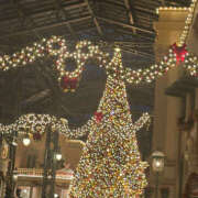 ヒメ日記 2025/12/23 09:49 投稿 ふうか Happy Gang(ハッピーギャング)