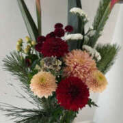 ヒメ日記 2026/01/07 09:50 投稿 ふうか Happy Gang(ハッピーギャング)