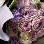 ヒメ日記 2026/01/29 09:54 投稿 ふうか Happy Gang(ハッピーギャング)