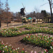 ヒメ日記 2026/02/03 09:51 投稿 ふうか Happy Gang(ハッピーギャング)