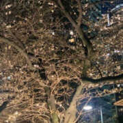 ヒメ日記 2026/03/24 09:52 投稿 ふうか Happy Gang(ハッピーギャング)