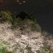 ヒメ日記 2026/04/02 10:07 投稿 ふうか Happy Gang(ハッピーギャング)