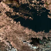 ヒメ日記 2026/04/08 09:45 投稿 ふうか Happy Gang(ハッピーギャング)