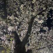 ヒメ日記 2025/04/07 13:30 投稿 あいこ 人妻・若妻デリヘル レディプレイス