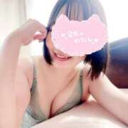 ヒメ日記 2024/12/12 22:01 投稿 ほのか しろうさぎ